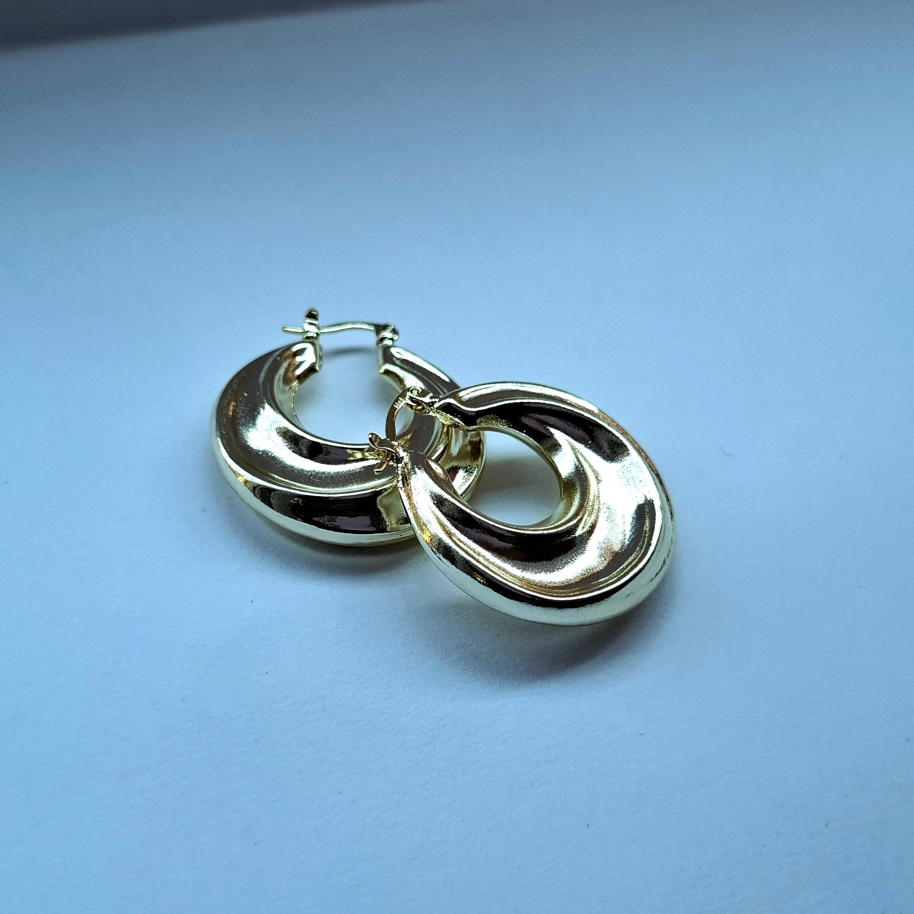 Brillo clásico - Arracadas