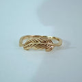 Libre - Anillo